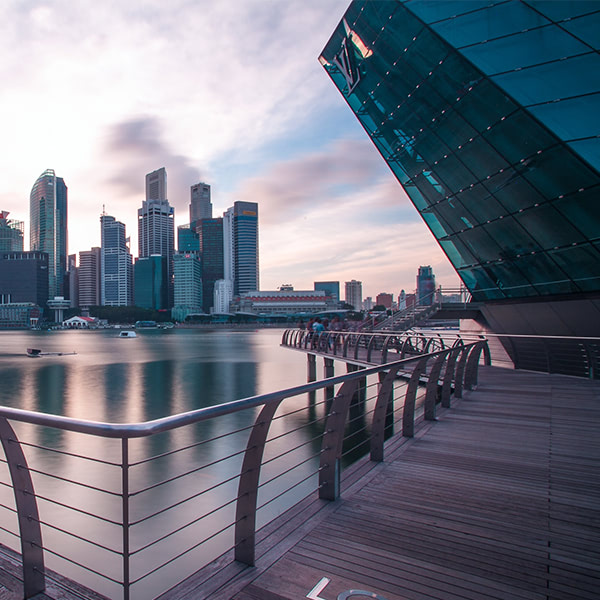 鵬博資訊正式創立